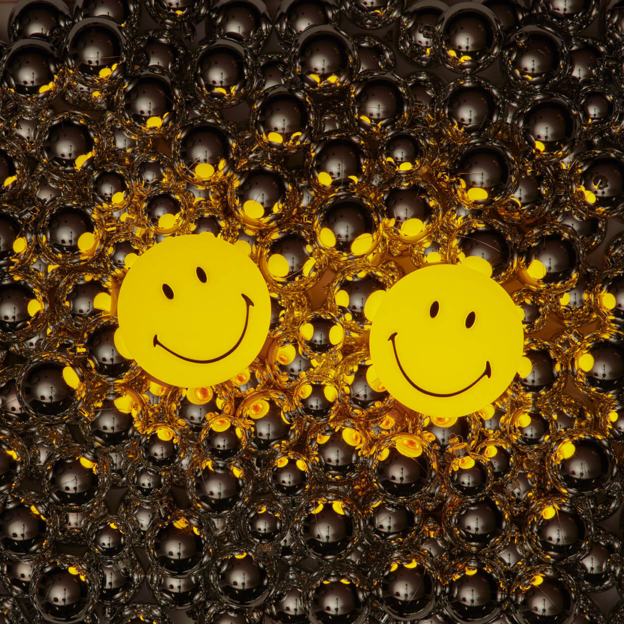 Mr Maria Smiley® Bundle of Light