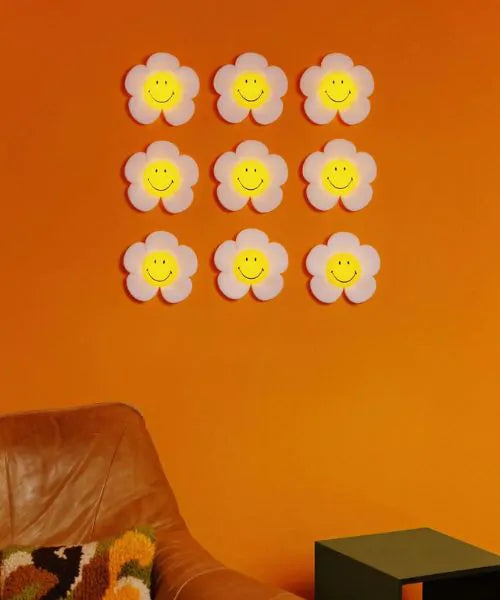 Mr Maria Smiley Daisy Day Light