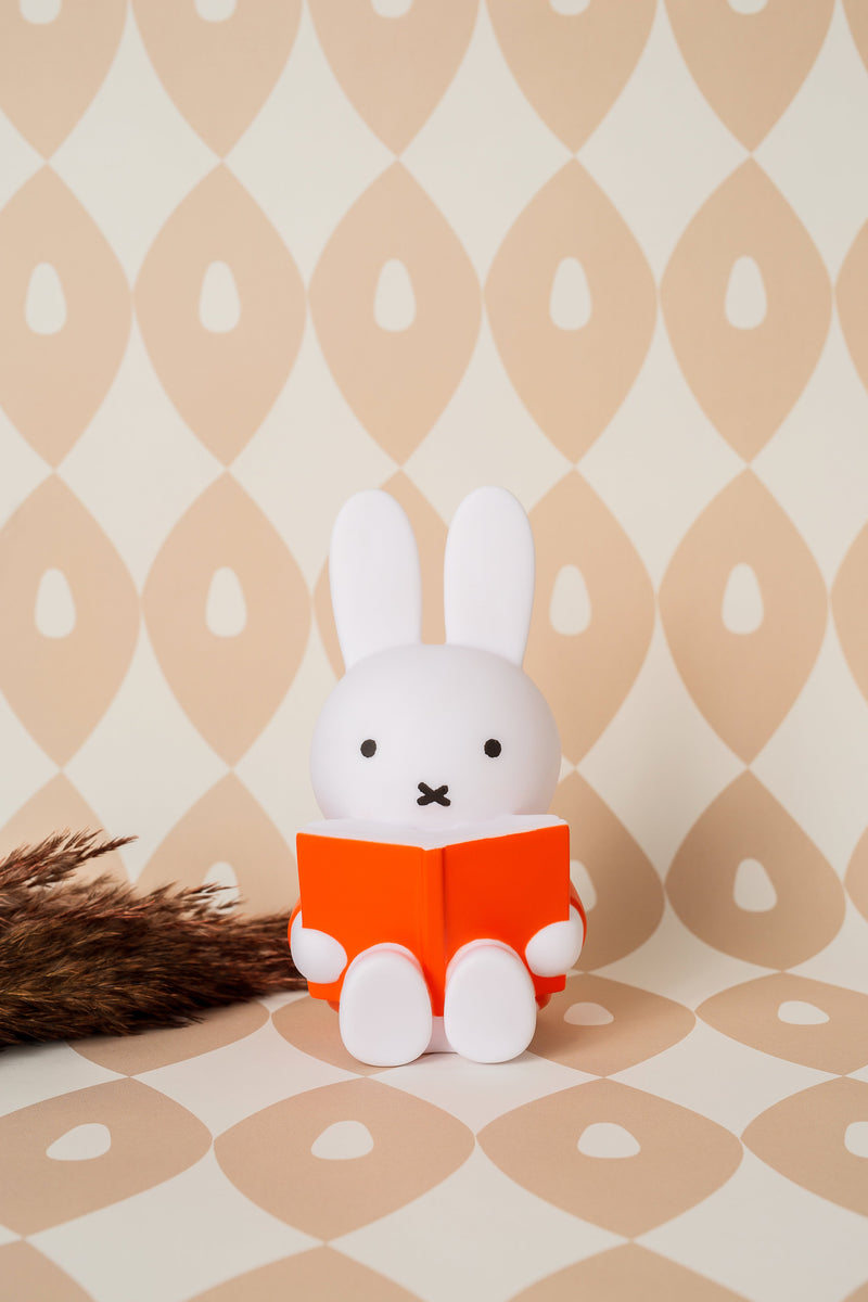Miffy Coin Bank