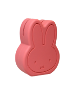 Atelier Pierre Miffy Treasure Box (M)
