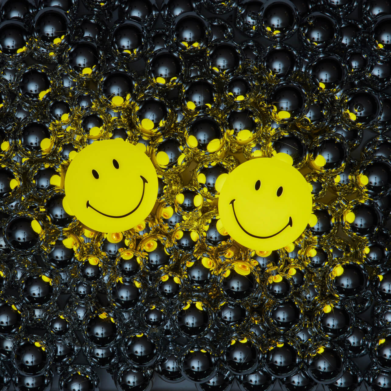 Mr Maria Smiley® Bundle of Light