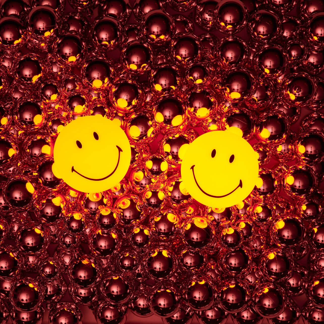 Mr Maria Smiley® Bundle of Light