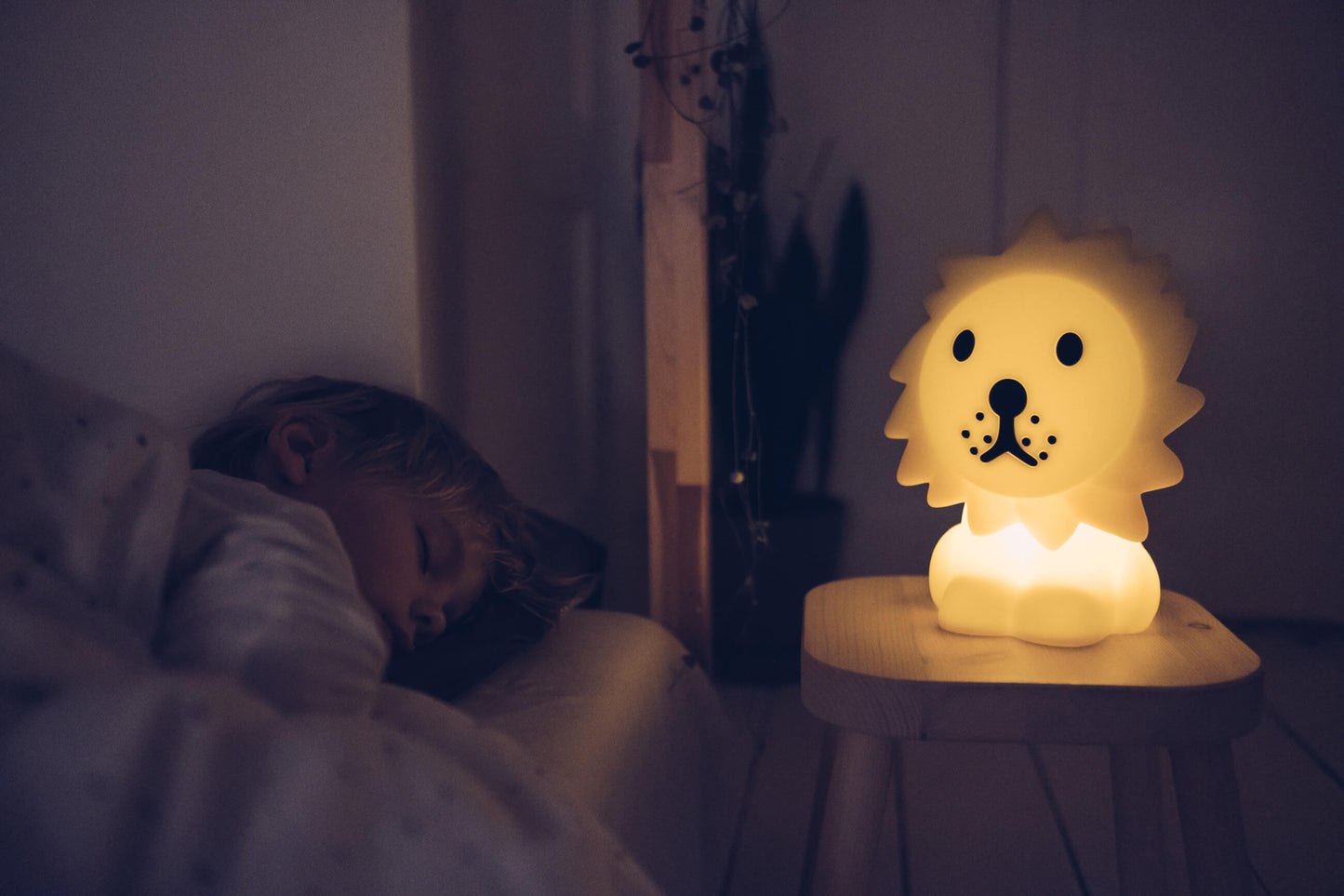 Mr Maria Lion Lights
